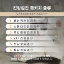 삼산평생동물병원 | 울산 강일웅 동물메디컬센터 동물병원에서 고양이 건강검진, 신장정밀검진