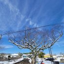 죽산  마을회관 이미지