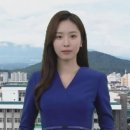 제주특별자치도청 이미지