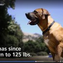 제우스농장 이미지