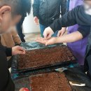 희망농장 이미지