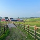 KIM&KIM FARM 이미지