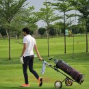 사랑채식당 | ⛳️ 한림용인CC 라운딩 후 필수코스! 용인 맛집 BEST 3 (사랑채, 서울식당, 고향손칼국수) 솔직 후기 👍