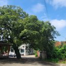 홈실마을회관 이미지