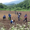 공동농장 이미지