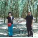 월남농장 이미지