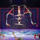 제주아트 서커스 이미지