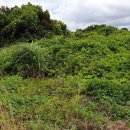 제주공감공인중개사사무소 이미지