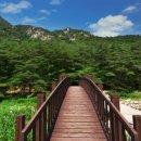 노적봉 리조트 이미지