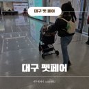 하곰이네 | 대구 엑스코 2026 대구 펫 페어 후기