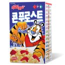 콘개발