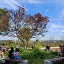 북창초등학교 이미지