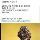 (5회)춘천 진우님 대구방문 이미지