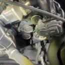 219모터스 이미지