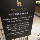 비안코 포레스트 이미지