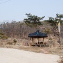 불은면-8 이미지