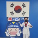 용인화랑태권도 이미지