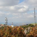 동서천농협 화양지소 이미지