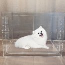 하이펫동물병원 이미지