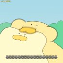 토닥토닥약국 | 분당 차병원 2차 시험관 비임신 종결, 자궁경 수술 과정 및 후기