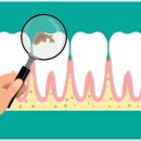 동암광장로 이미지