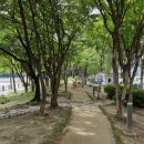 [둔산2동] 은하수