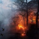 제2야영장 이미지