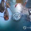 빈센트커뮤니케이션즈