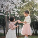 [남부] (주말)홈베이킹(2025) | [공지] 2026년 상반기(2월~5월) 돌스냅/야외스냅 예약 오픈합니다 (소비베이비스냅 생존신고👋)