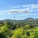 성산읍 고성오일장 이미지