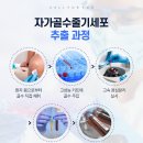 셀포유서울의원 이미지