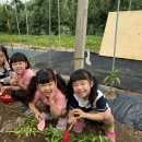 계명유치원 이미지