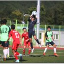 영해생활체육공원 이미지