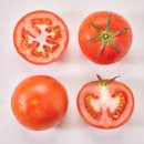 토마토요양병원 이미지