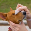 토평동물병원 이미지