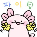 터치스토리 이미지