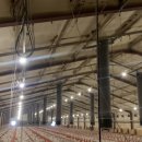 금빛태양광발전소 이미지