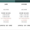 드뉴