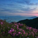 남해-246 이미지