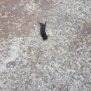 주수의과 병원 이미지