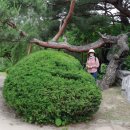 강원도립화목원 이미지