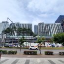 광교중앙약국 이미지