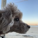 윤가네펜션 이미지