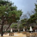 카페로더 | 고양 카페 추천 로더우드 방문 후기