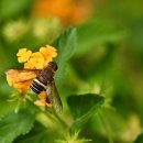 쌍용지하도2 이미지