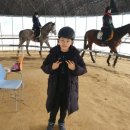 퀸즈승마장 이미지