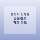연합수치과의원 | 울산시 신정동 임플란트 비용·가격·후기 총정리