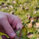 호준농장 이미지