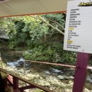 춘천마음숲정신건강의학과의원 이미지