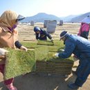 주경기장 잔디구장 이미지